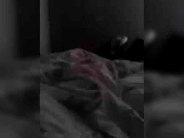 Модель: Cesar1117