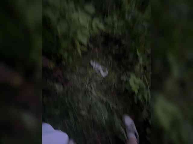 Cesar1117 webcam