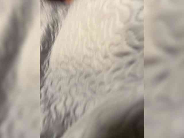 lizerdalli457 webcam