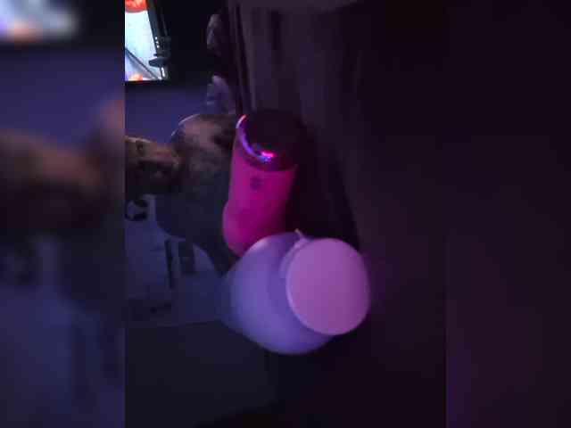 JuicyYumYum90