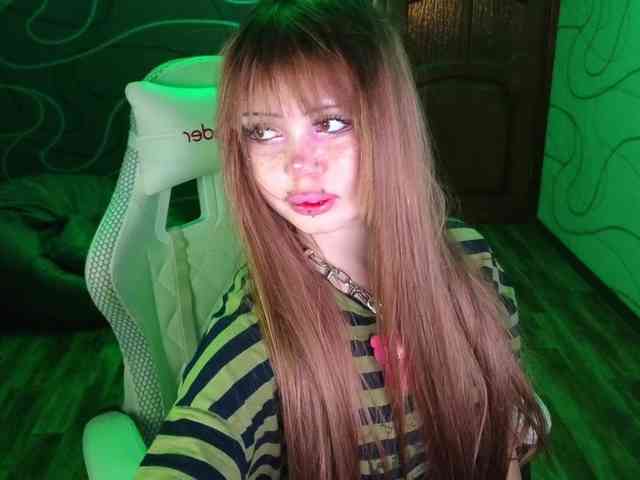 Virtikka webcam