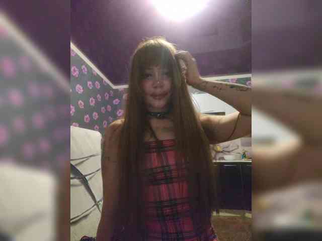 Virtikka webcam