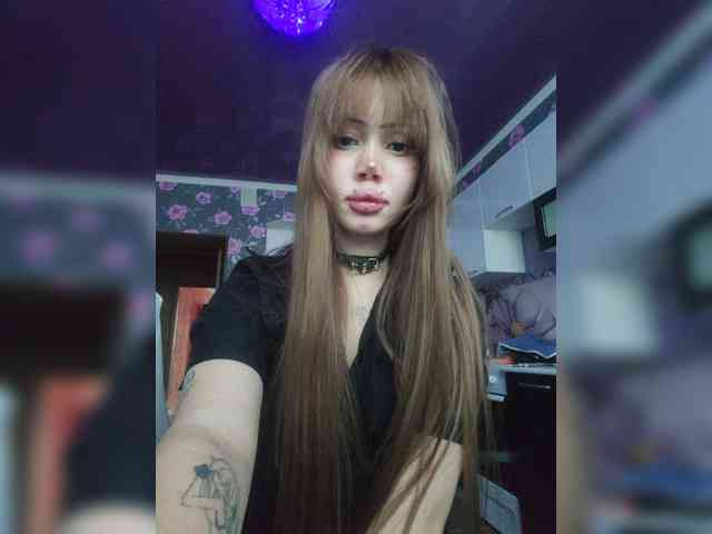 Virtikka webcam
