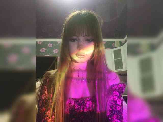 Virtikka webcam