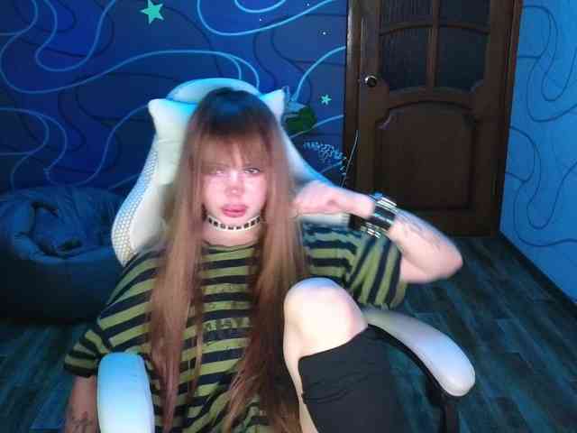 Virtikka webcam