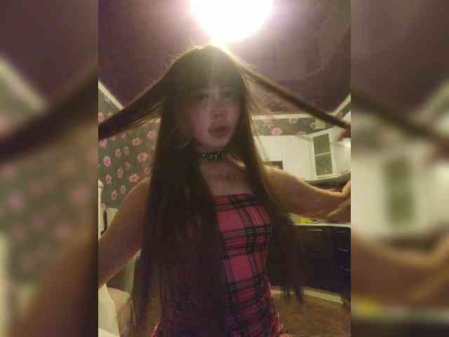 Virtikka webcam