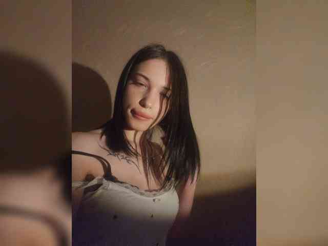 Virtikka webcam