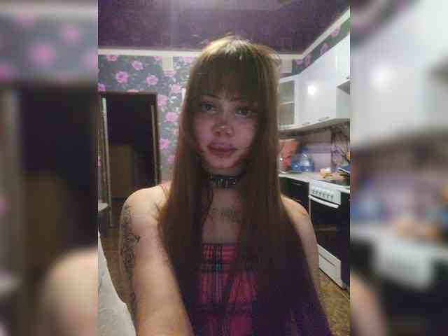 Virtikka webcam