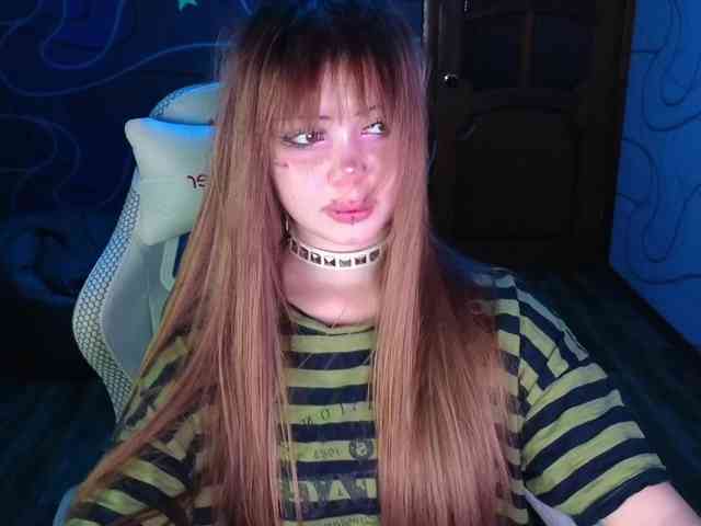 Virtikka webcam