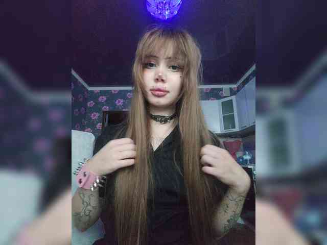 Virtikka webcam