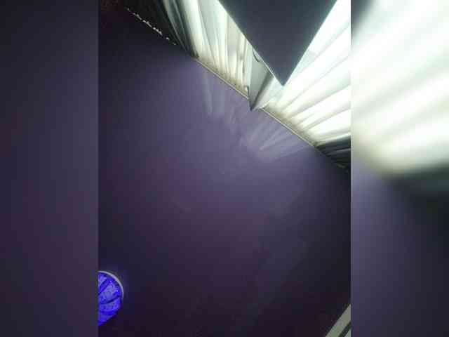 Virtikka webcam
