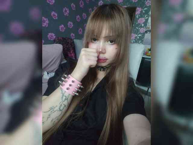 Virtikka webcam