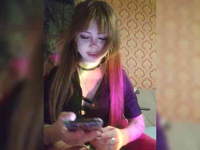Virtikka webcam