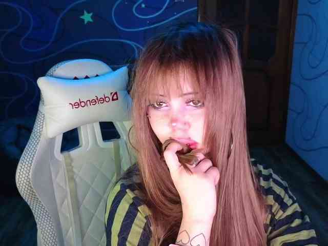 Virtikka webcam