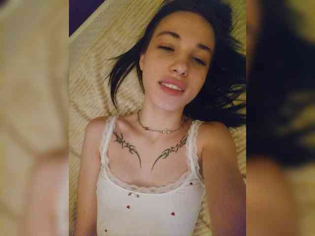 Virtikka webcam