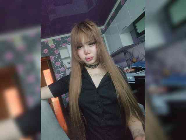 Virtikka webcam