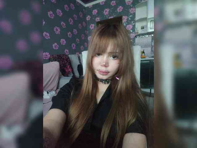 Virtikka webcam