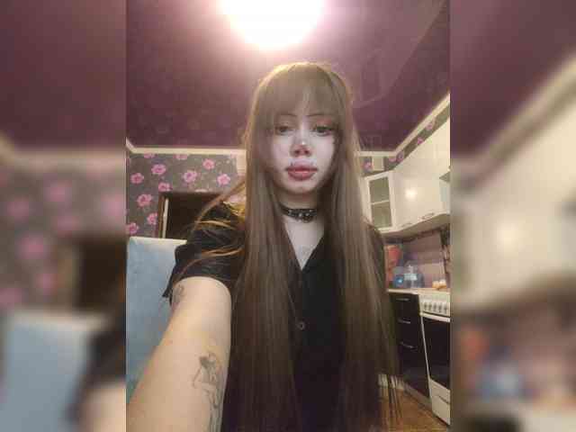 Virtikka webcam