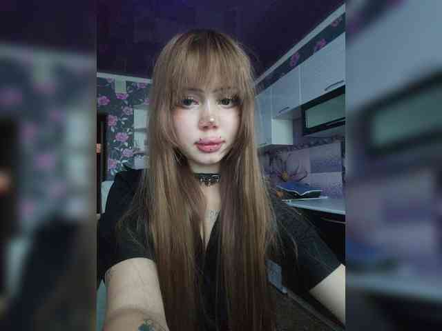 Virtikka webcam