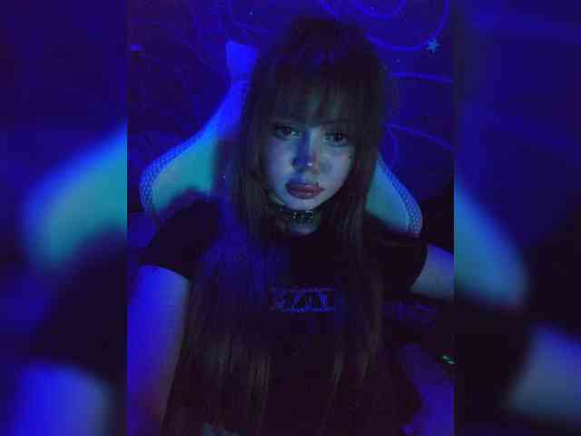 Virtikka webcam