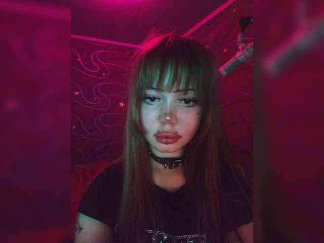 Virtikka webcam