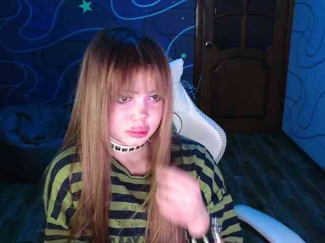 Virtikka webcam