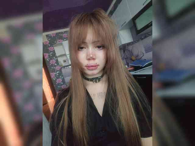 Virtikka webcam