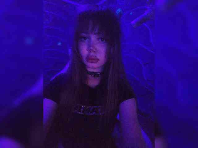 Virtikka webcam