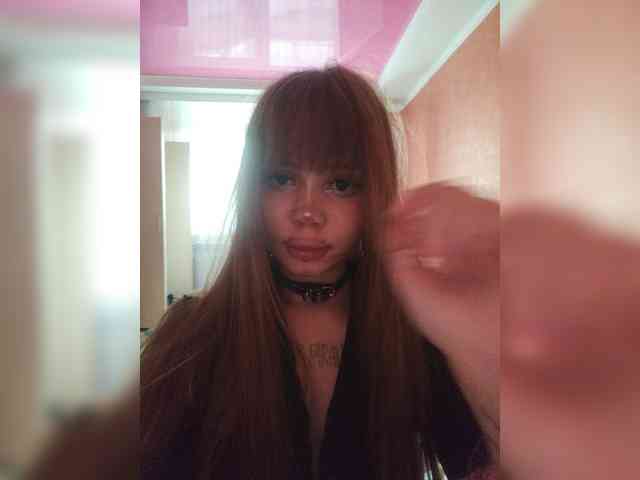Virtikka webcam