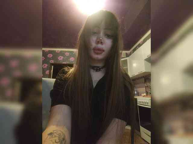 Virtikka webcam