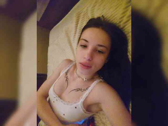 Virtikka webcam