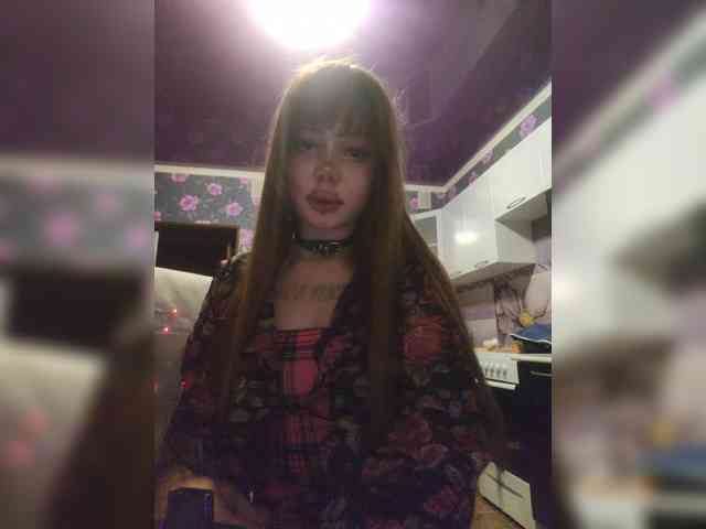 Virtikka webcam