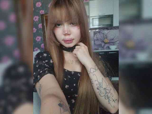 Virtikka webcam