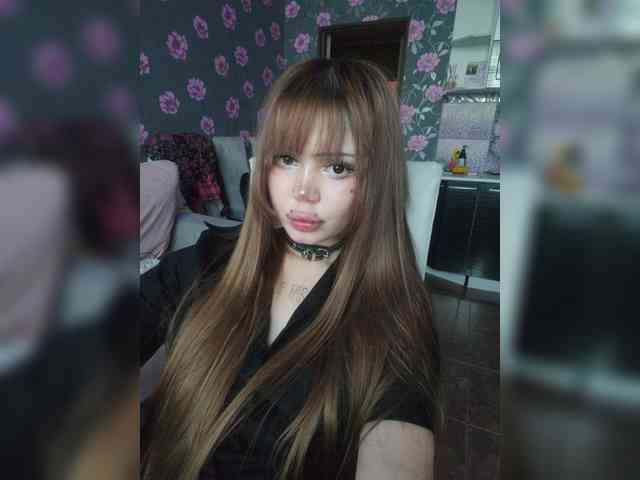 Virtikka webcam