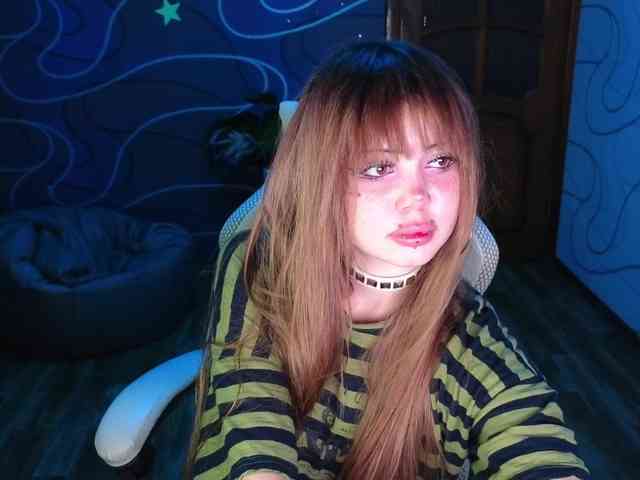 Virtikka webcam