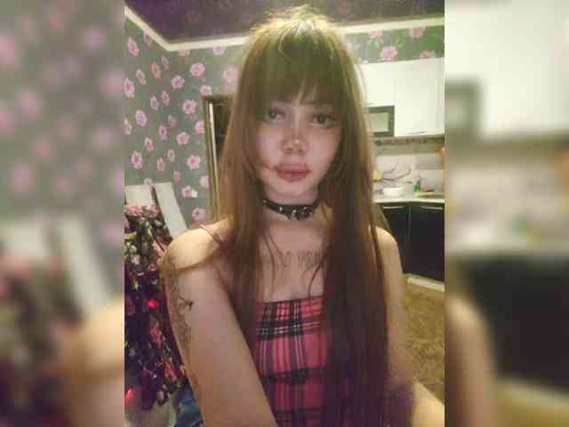 Virtikka webcam