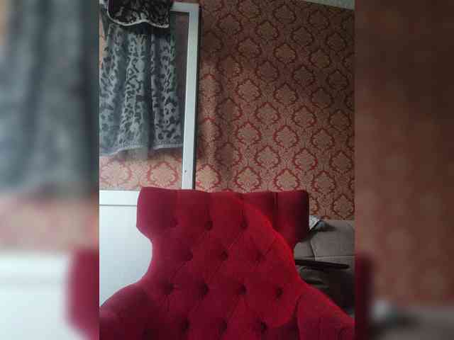 Virtikka webcam