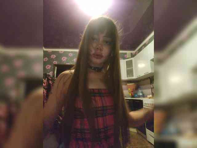 Virtikka webcam