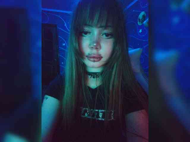 Virtikka webcam