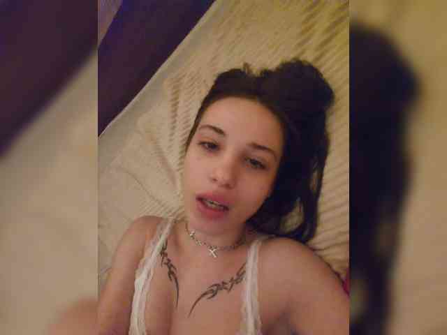 Virtikka webcam
