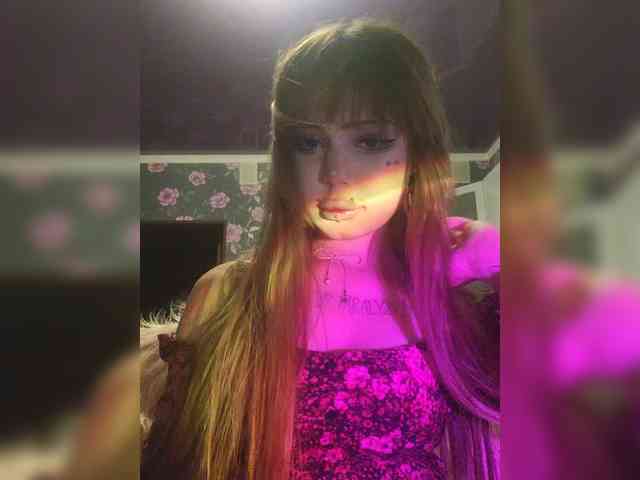 Virtikka webcam