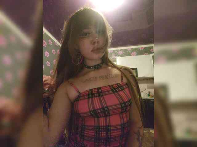 Virtikka webcam