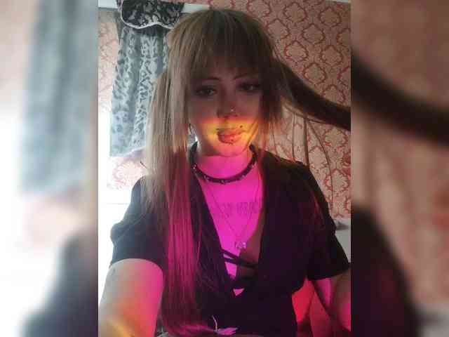 Virtikka webcam