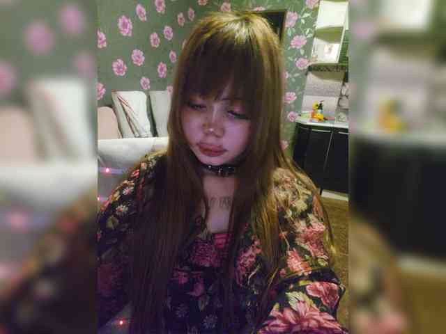 Virtikka webcam