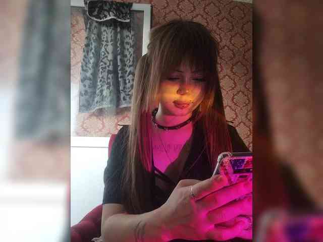 Virtikka webcam