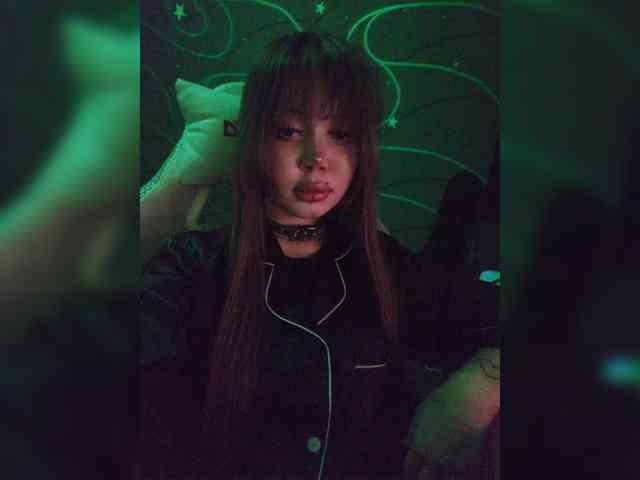 Virtikka webcam