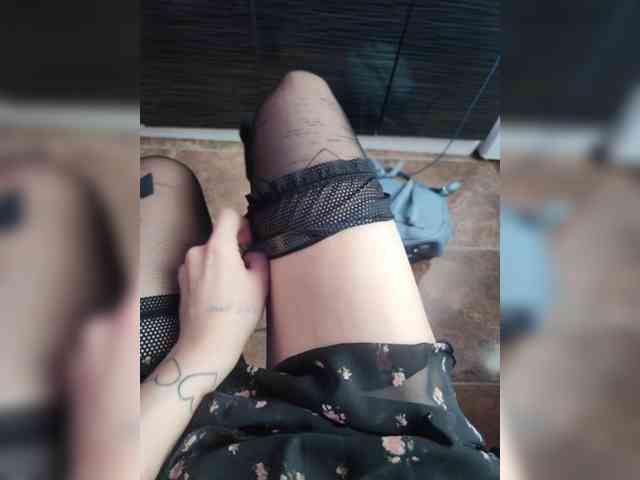 Virtikka webcam