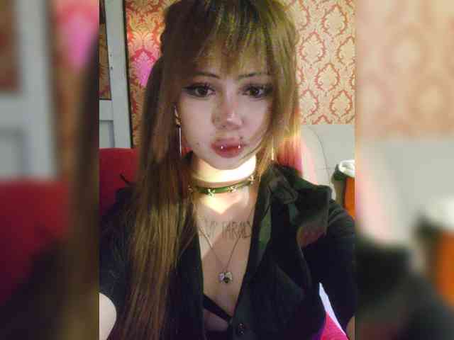 Virtikka webcam