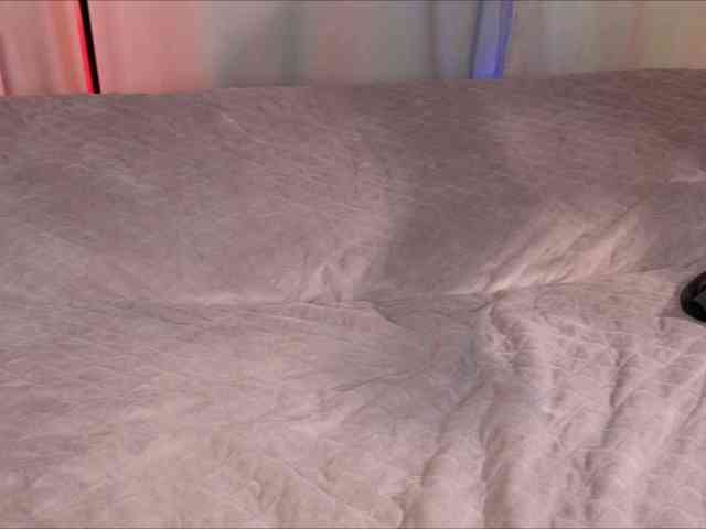 Mao-miu webcam