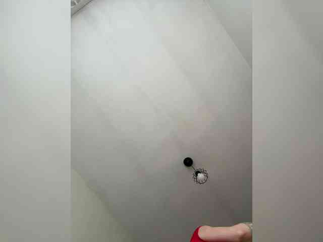 Mao-miu webcam